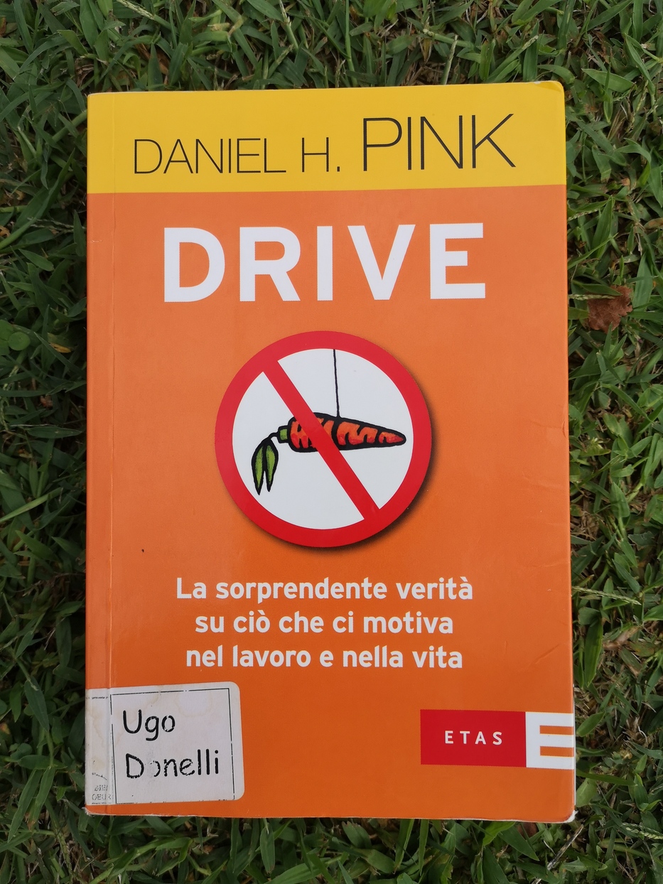 Copertina del libro Drive di Daniel Pink: la sorprendente veritÃ  di ciÃ² che ci motiva nel lavoro e nella vita