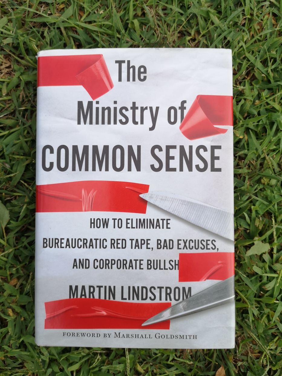 Copertina del libro The Ministry of Common Sense di Martin Lindstrom: how to eliminate bureaucratic red tape, bad excuses, and corporate bullshit
